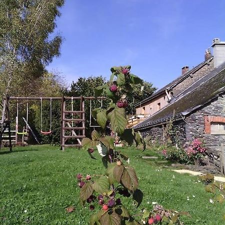 Gite Les 7 Frenes Vaux-sur-Sure Extérieur photo