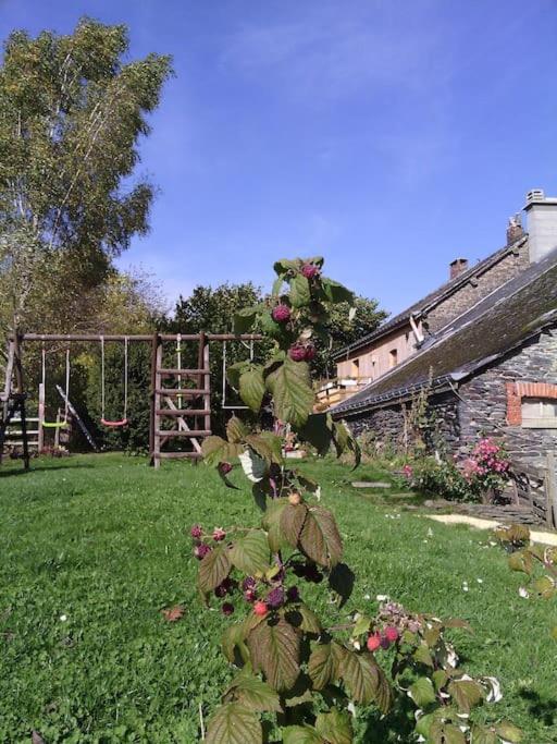 Gite Les 7 Frenes Vaux-sur-Sure Extérieur photo