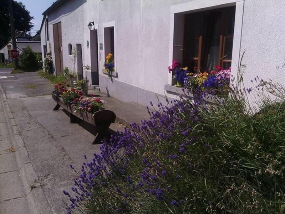 Gite Les 7 Frenes Vaux-sur-Sure Extérieur photo